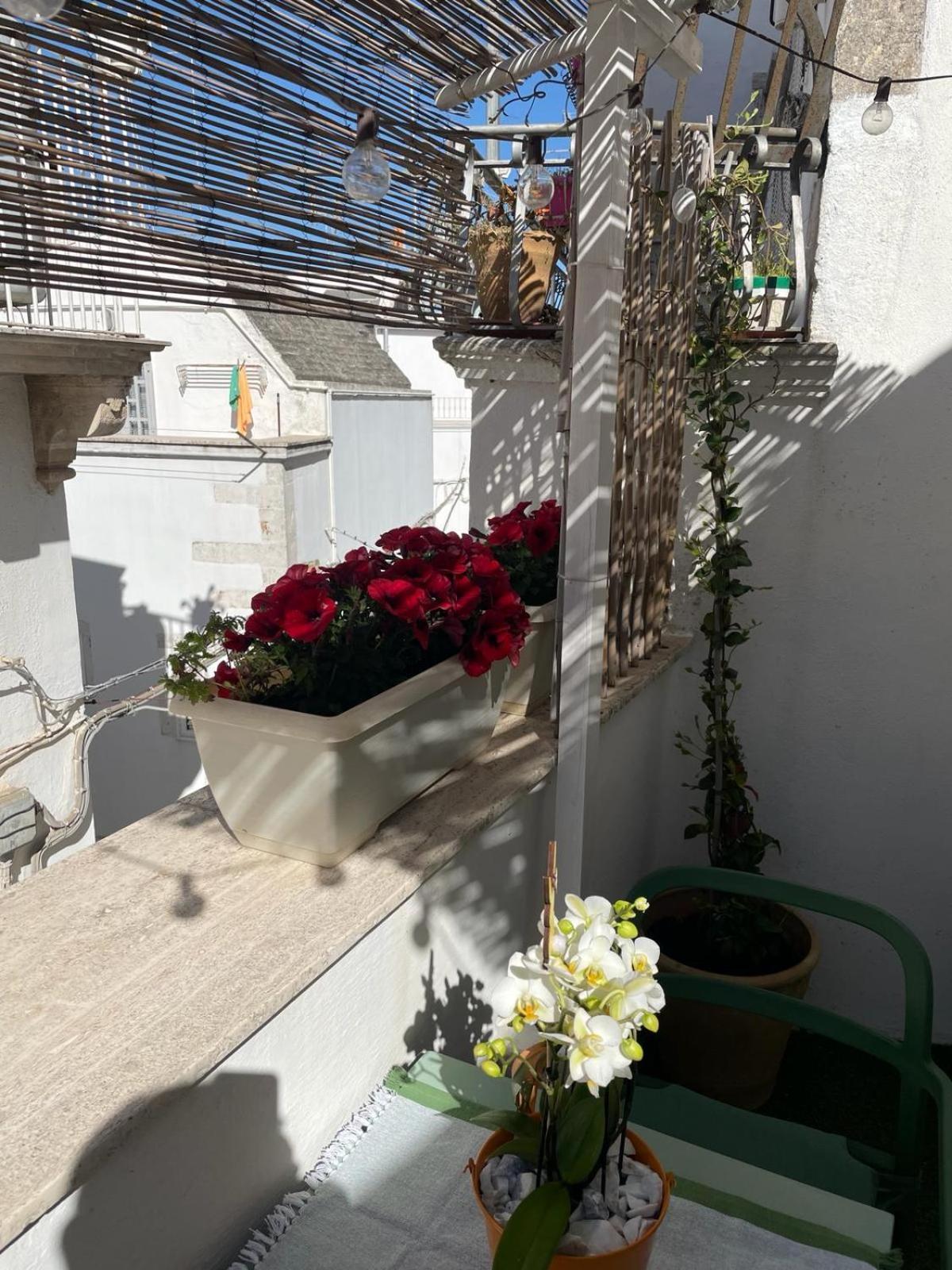 Casa Del Riccio Nel Centro Storico Apartman Martina Franca Kültér fotó